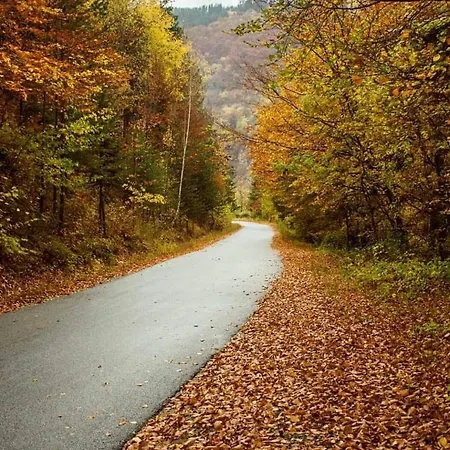 バゾテバ ハウス 3*