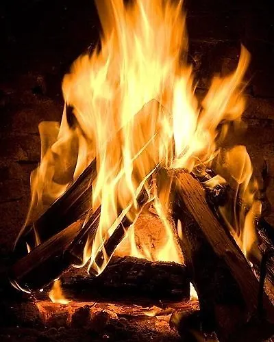 Penzion Bazoteva House Kovačevica